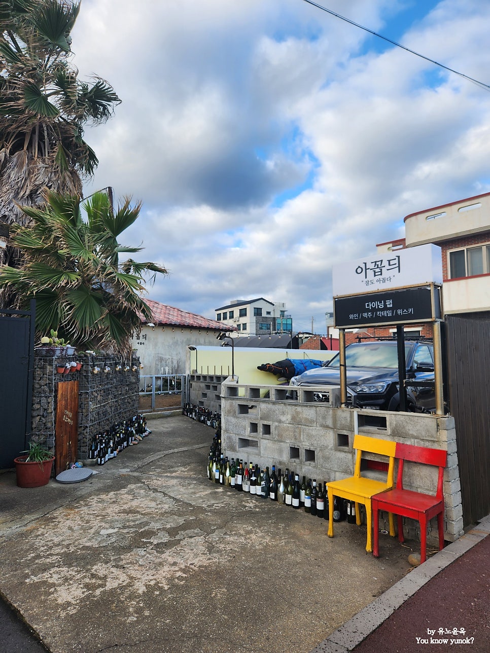 아꼽듸 사진 2