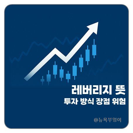 <b>레버리지 뜻</b> 투자 방식 장점 위험 원칙