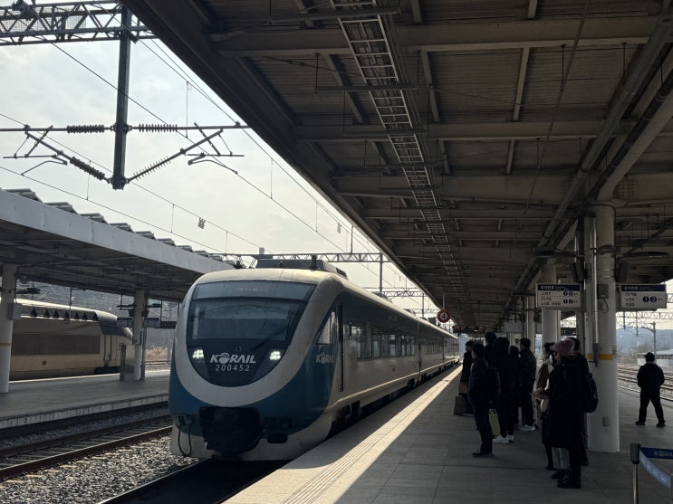  2025년 총정리