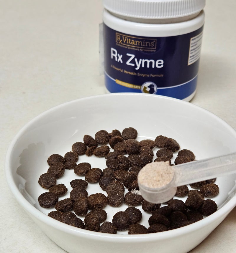 소화효소 먹이면 췌장이 일을 안 한다? 강아지·고양이 효소 선택법과 미국 임상 포뮬러 RX Zym....