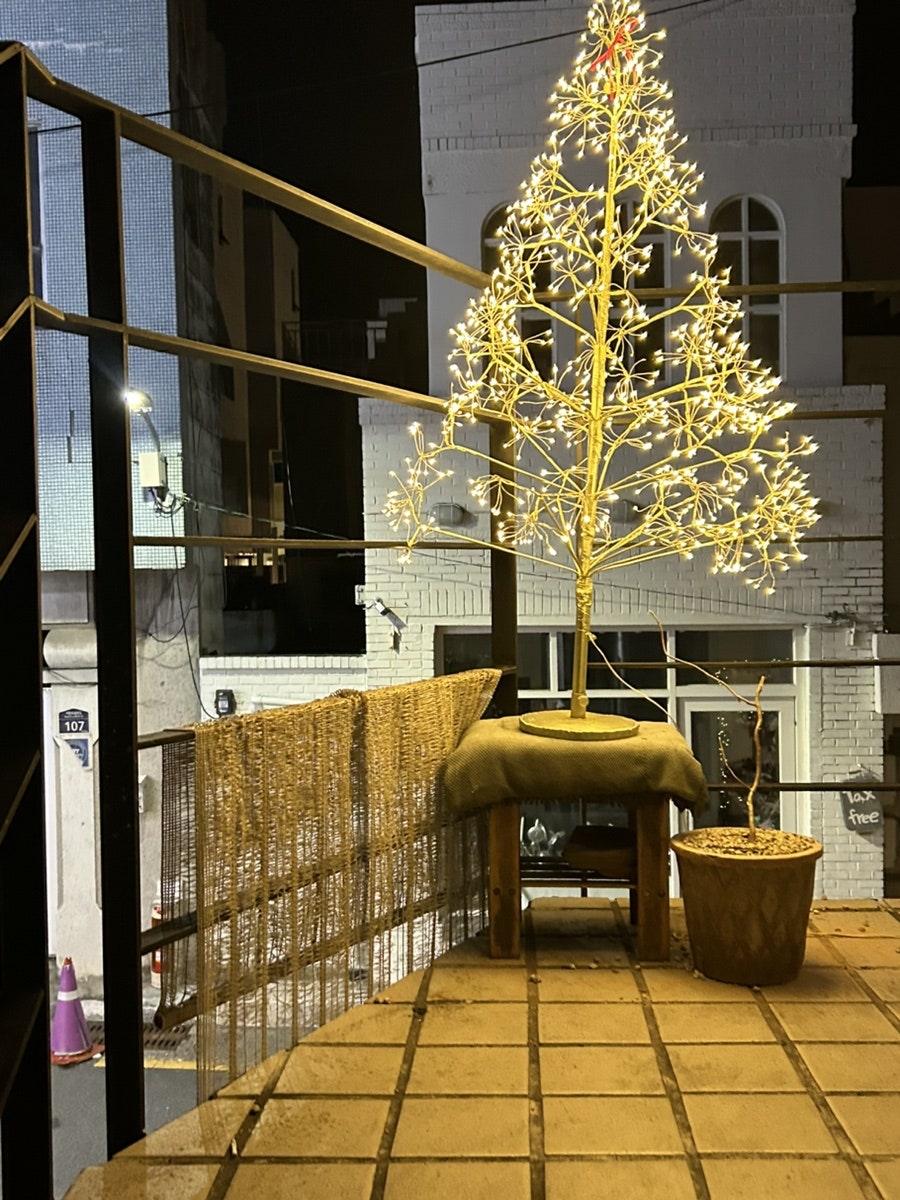 헤이주드 사진 3