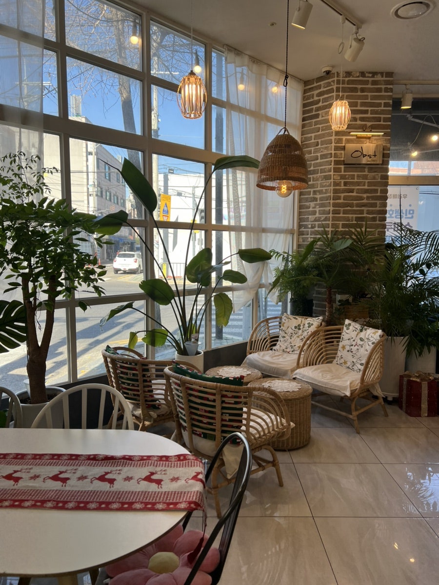 옵스트 사진 3