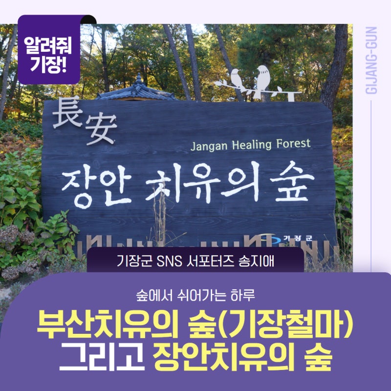 [서포터즈] 가을날 찾은 부산치유의 숲(기장철마) 그리고 장안치유의 숲