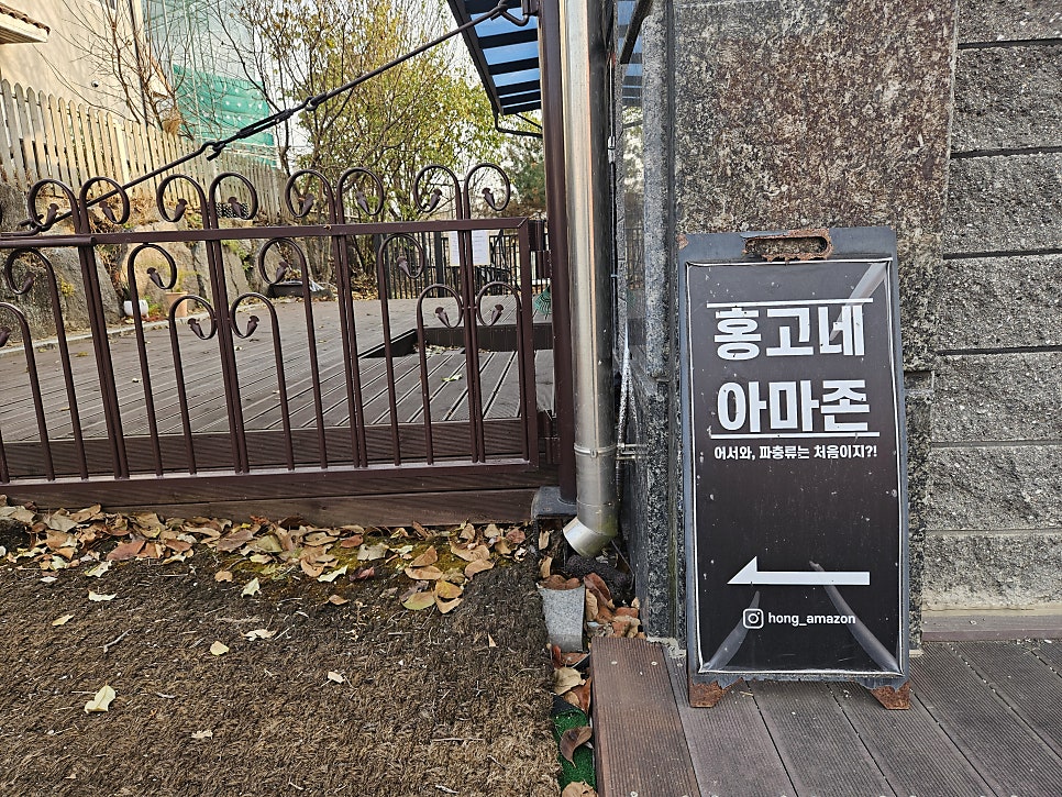 홍고네아마존 사진 3