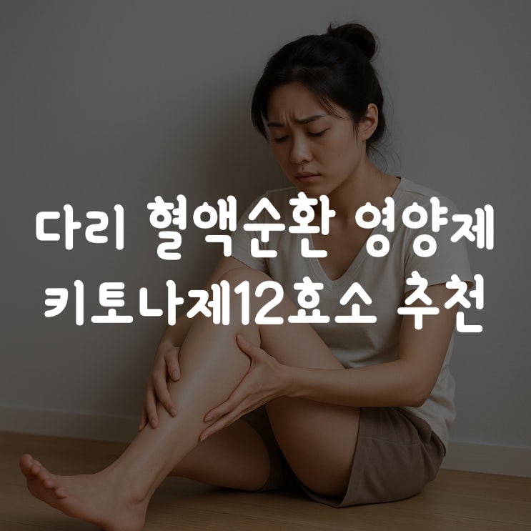  다리 혈액순환 영양제 키토나제12효소 추천해요