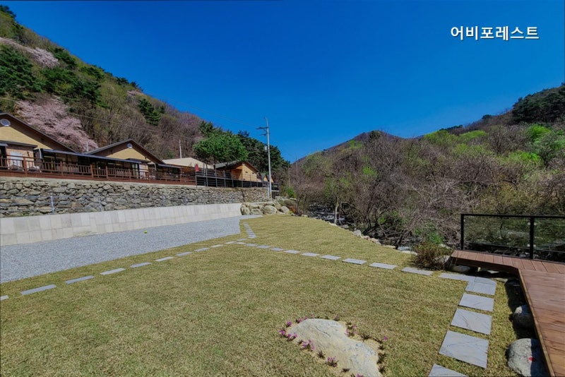 사진 2