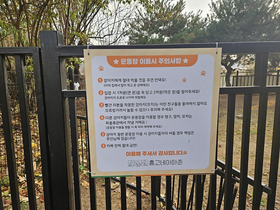 홍고네아마존 사진 5