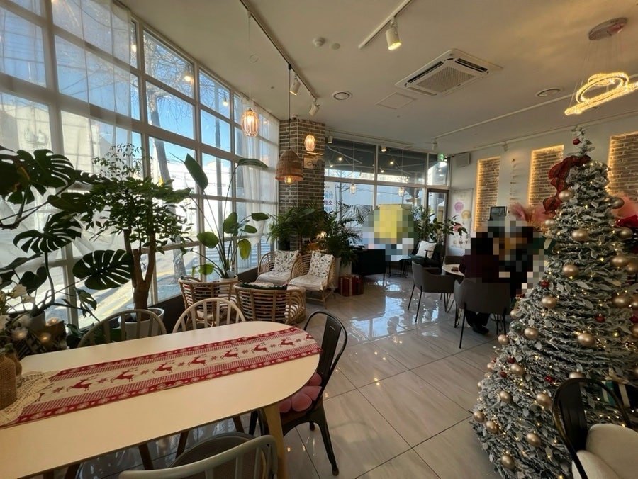 옵스트 사진 6
