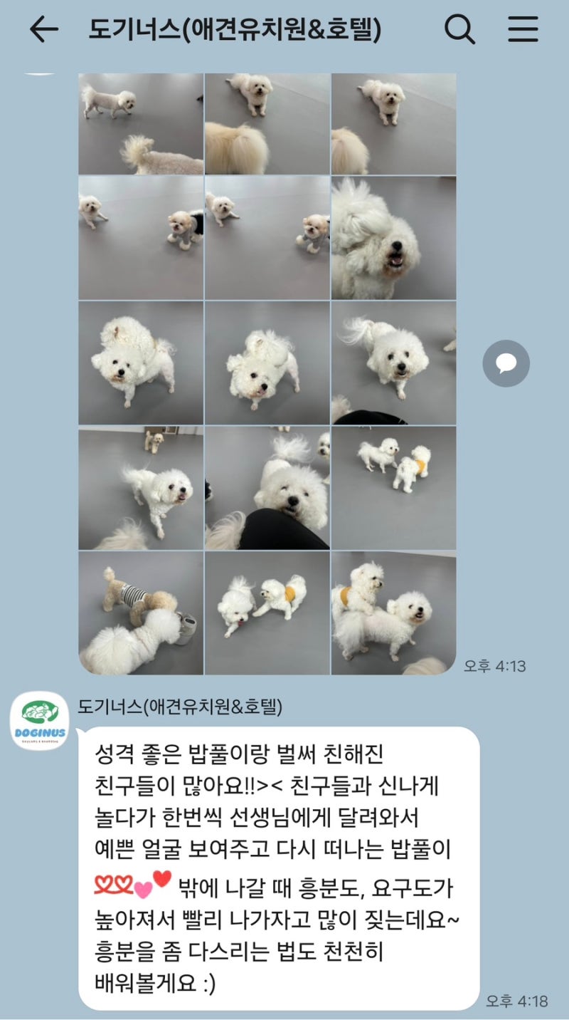 사진 3