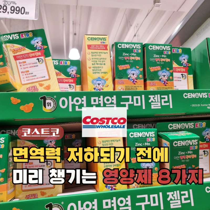 옆집 아이는 독감도 안 걸리네, 코스트코 가면 알 수 있어요! 어린이 영양제 TOP 8