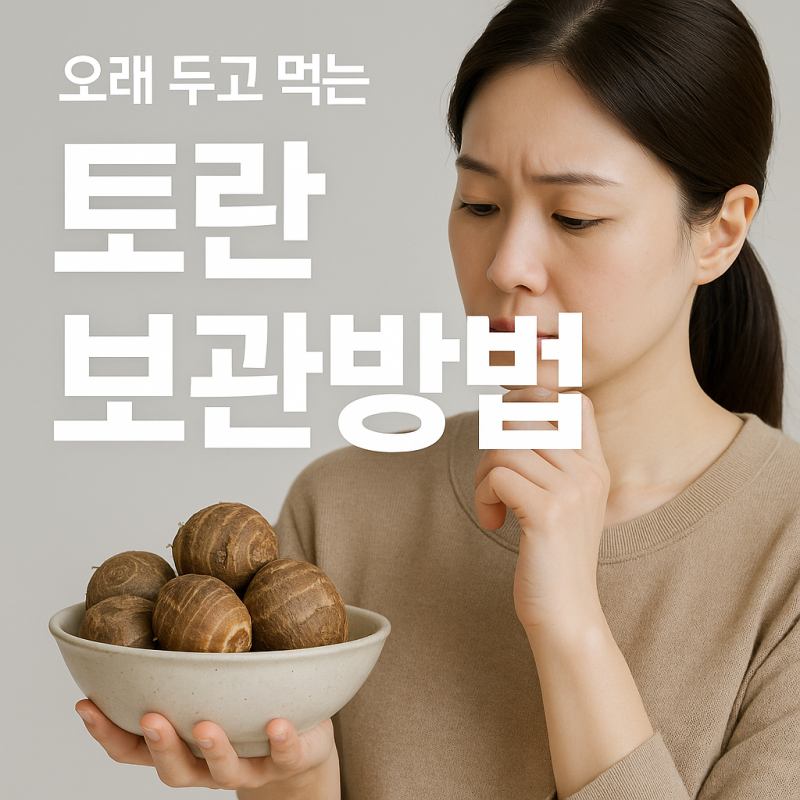 토란 보관방법｜알잘딱깔센! 오래 두고 먹는 진짜 보관 꿀팁