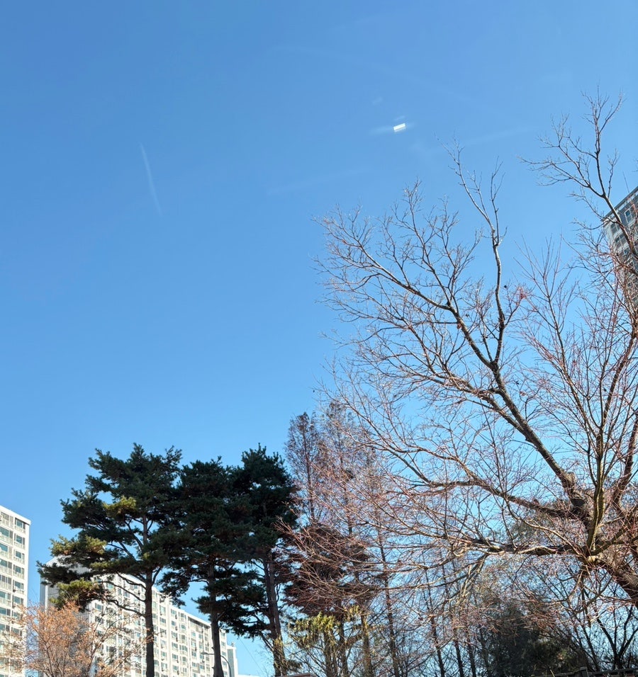 한옥스테이 해바라기펜션 사진 3