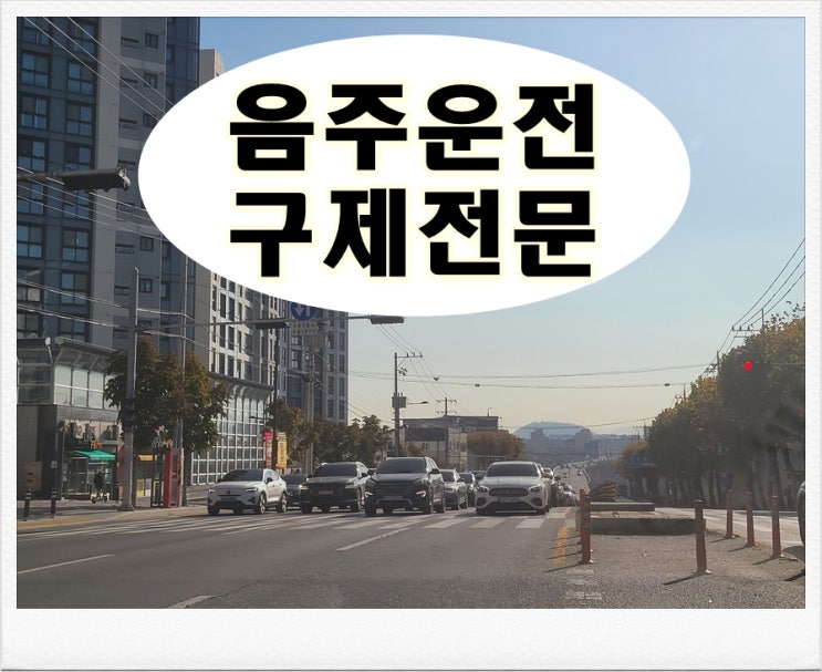  면허취소 수치 0.1 높은 걸까 낮은 걸까