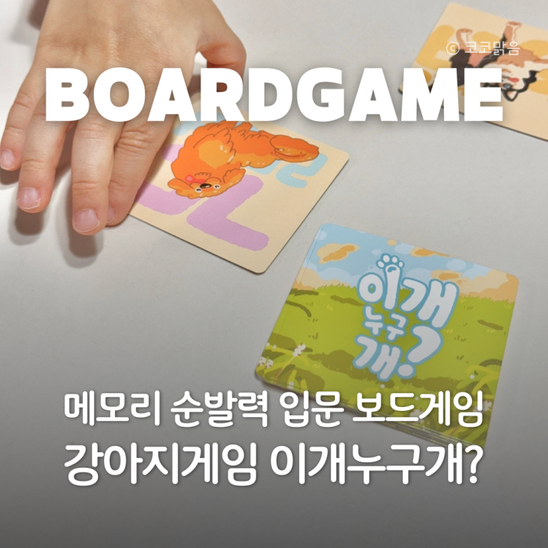 이개누구개 — 고성군