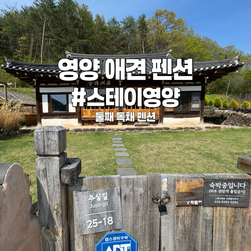 사진 4