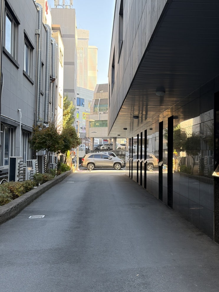  광주 금호동 PT 찾는다면? 더피트니스 금호점 등록 이유 솔직 리뷰
