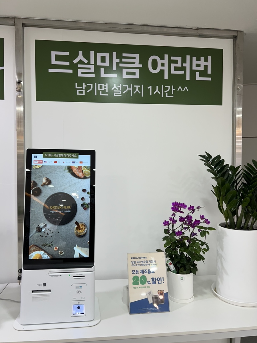 맛나무 사진 2