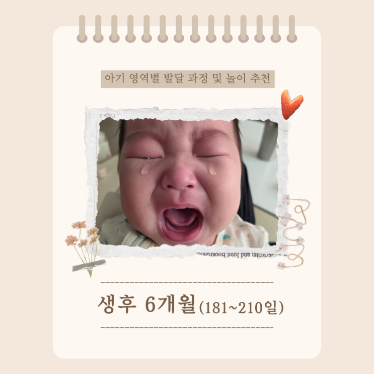  생후 6개월 아기 영역별 발달 과정 및 특징, 추천 놀이 활동