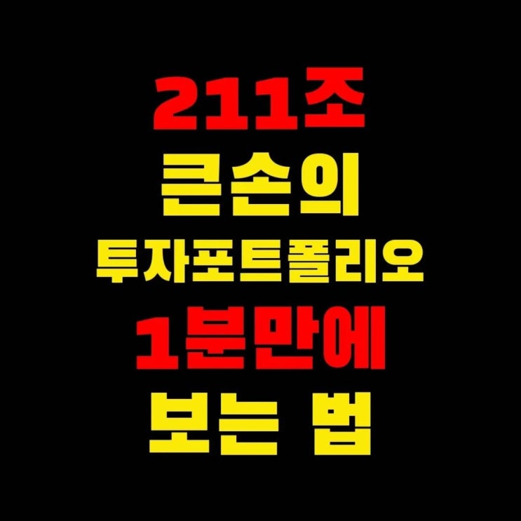  211조 큰손의 투자포트폴리오 1분만에 보는법