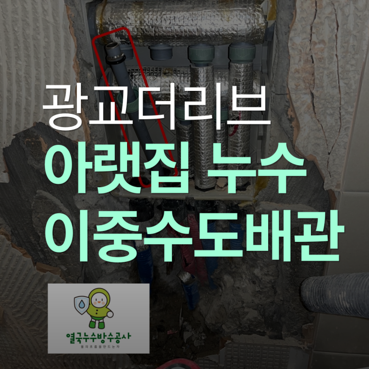  수원 아랫집 누수 광교더리브 이중수도배관 문제 해결