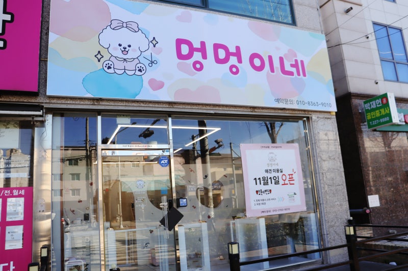 사진 6