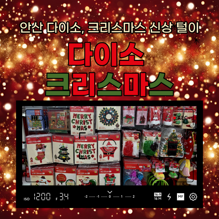  다이소 크리스마스 2025  2만원으로 1.1m 트리 풀세트 완성! (남자친구랑 홈파티 준비)