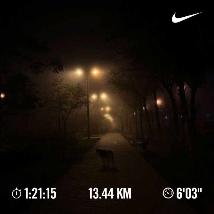 매일 러닝 달리기 조깅 챌린지 1578일차