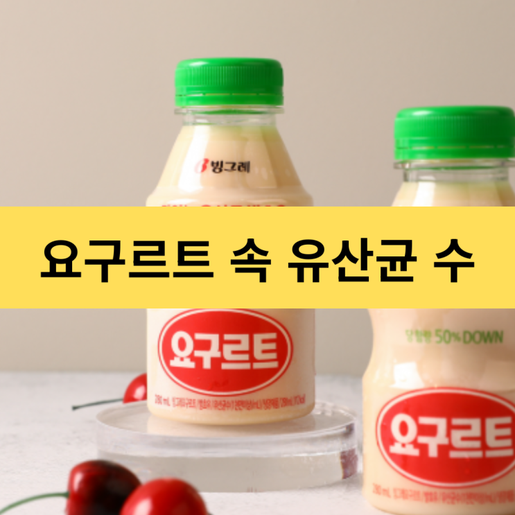  장 건강에 도움 되는 요구르트 유산균 하루 얼마나 먹어야 할까?