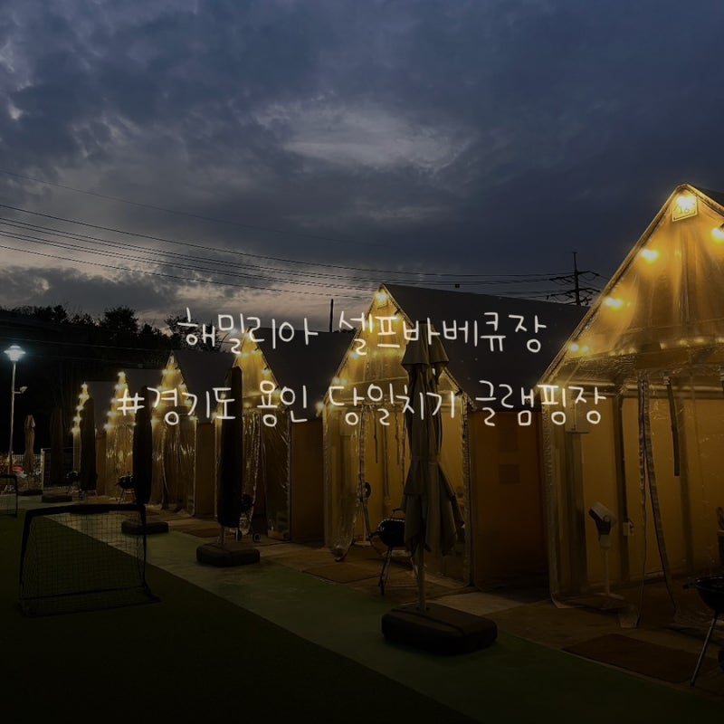 [경기/용인] 해밀리아 셀프바베큐장, 애견동반 당일치기캠핑 바베큐 후기