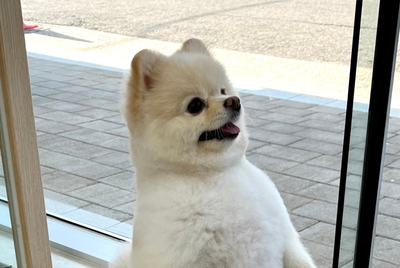 사진 3