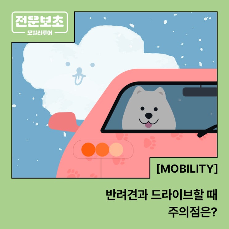  [전운보초] 강아지와 함께 떠나는 여행! 반려견과 드라이브할 때 주의점은?