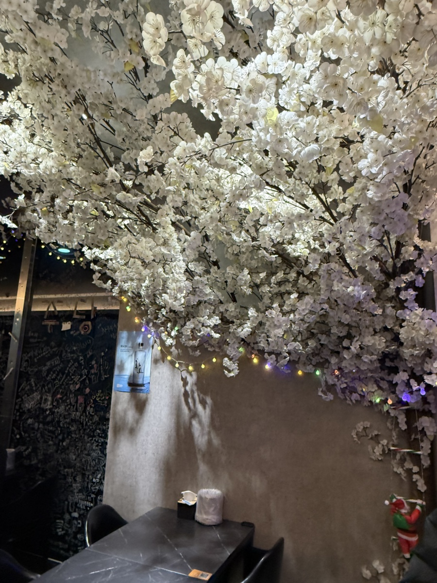 주당호프 사진 2