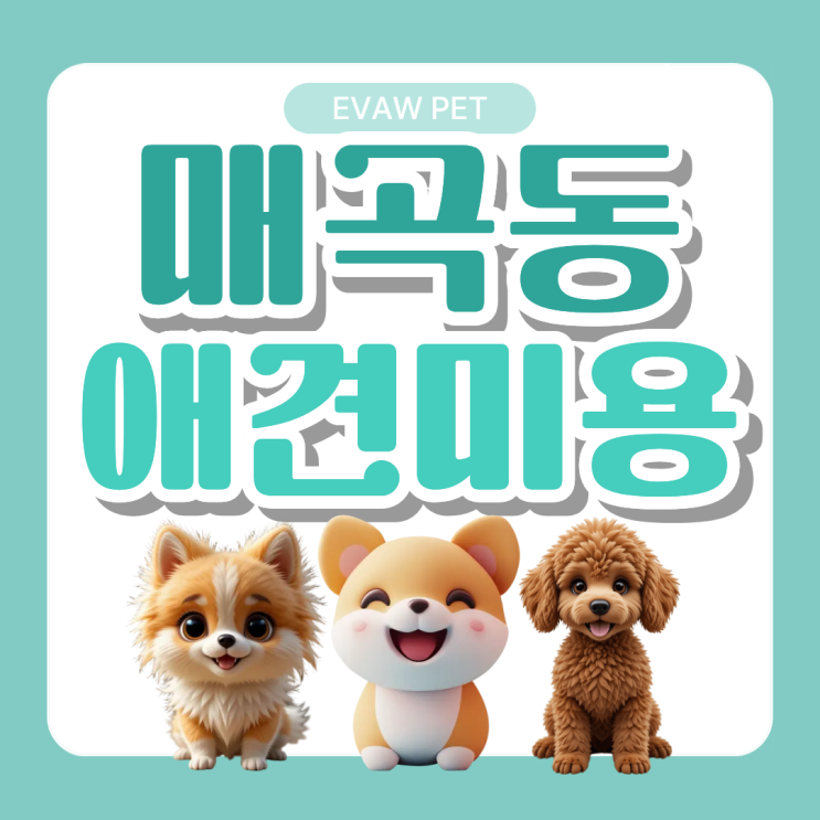  매곡동애견미용학원ㅣ반려견 케어부터 주부도 취업·창업 가능한 자격증