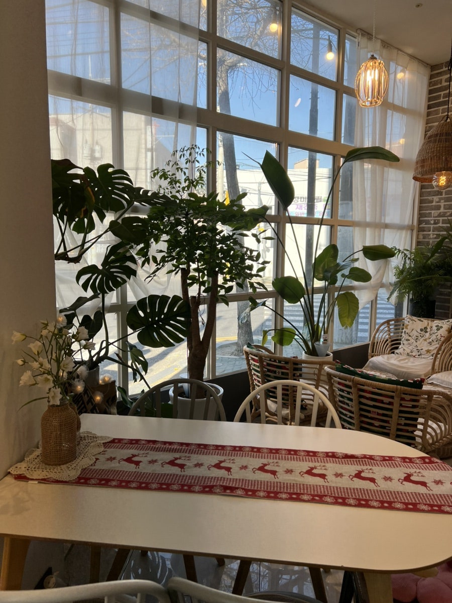 옵스트 사진 5