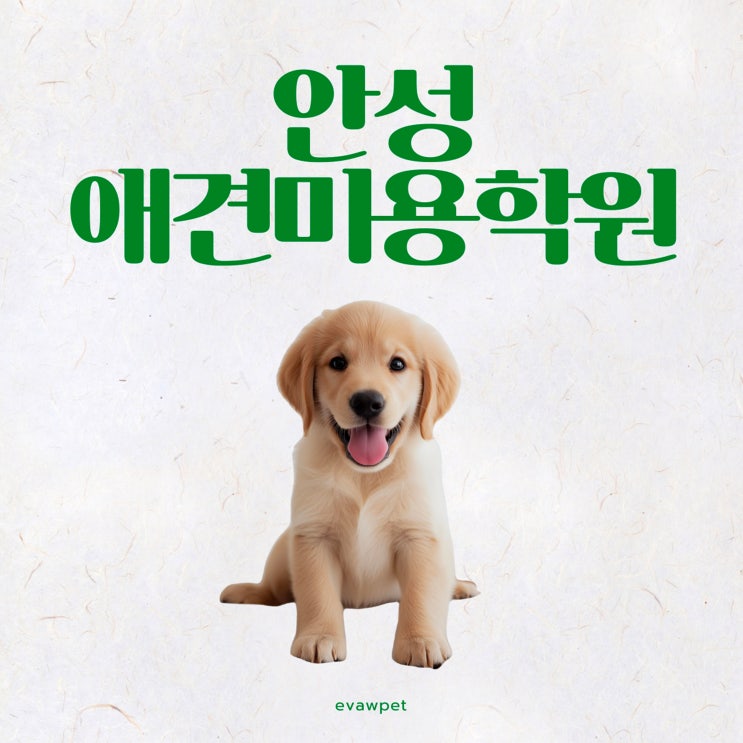  안성애견미용학원 월 수강료 20만원 등록 후기