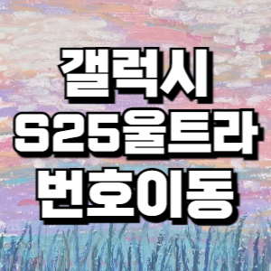 갤럭시S25 울트라 번호이동, 성지에서 개통할 때 꼭 볼 것들