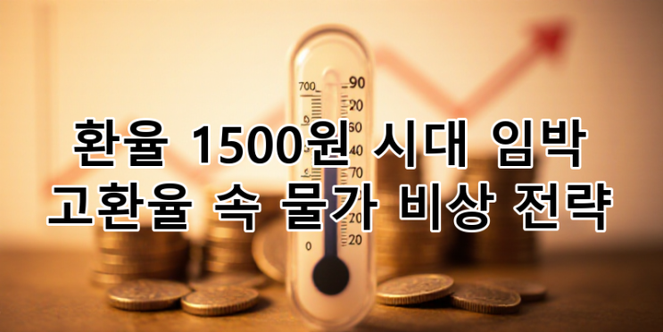 <b>고환율</b> 속 물가 <b>비상</b> 전략 총정리 | 경제 위기 극복 가이드