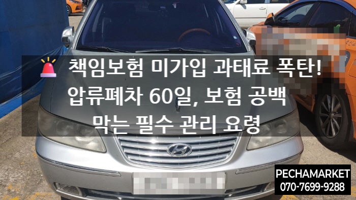   책임보험 미가입 과태료 폭탄! 압류폐차 60일, 보험 공백 막는 필수 관리 요령