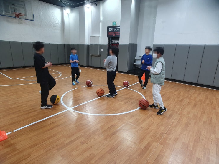  대치동농구교실 얼라이브스포츠클럽, 강남 농구 학원 제대로 알아보기