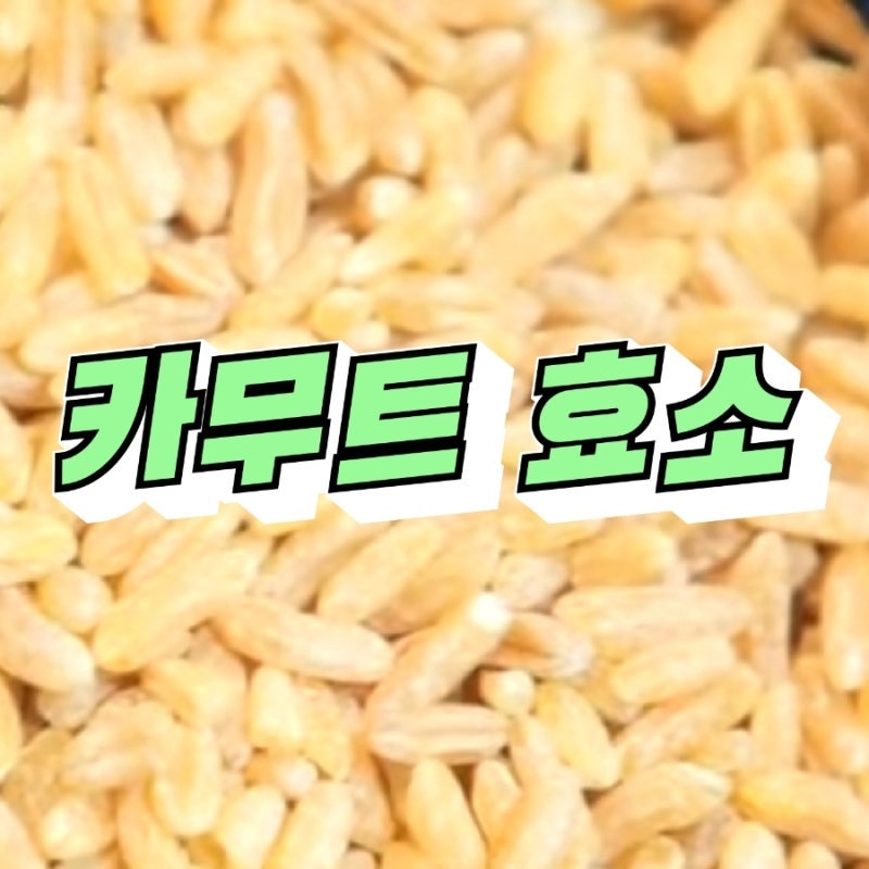 카무트효소 효능 9가지와 하루 섭취량