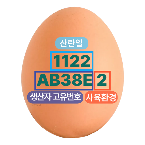  계란 난각번호 보는 법과 1번 난각코드 의미 번호별 차이 쉽게 정리