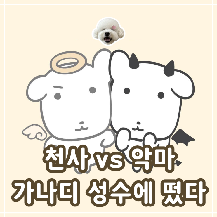  가나디 팝업 예약 방법 링크 성수 현장 입장