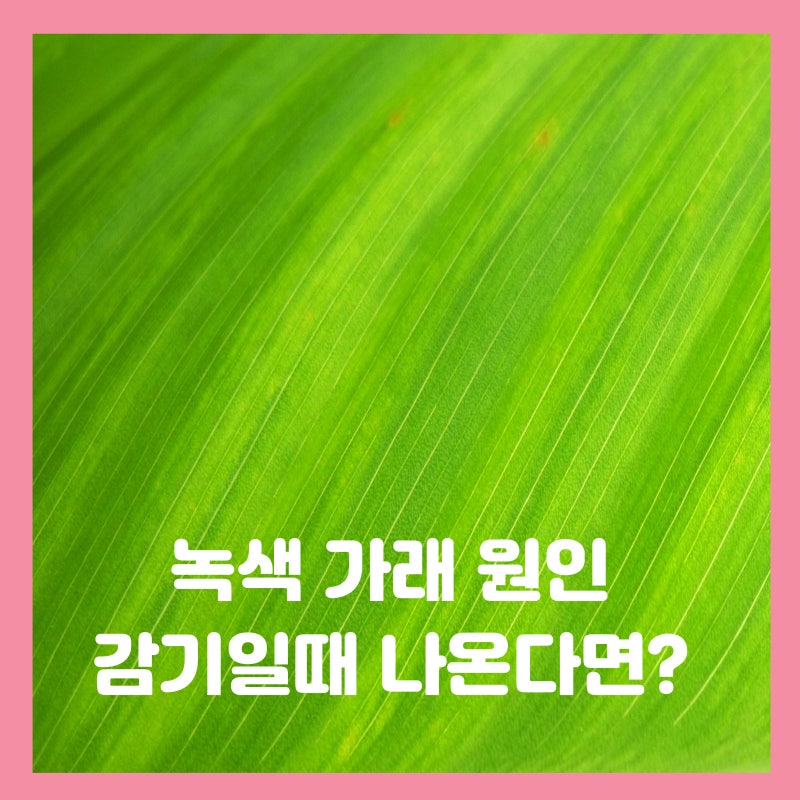 감기 녹색 가래 생기는 이유 위험 신호일까요?