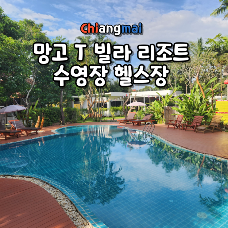  치앙마이 숙소 망고 T 빌라 리조트 수영장 헬스장 운영시간 위치 후기