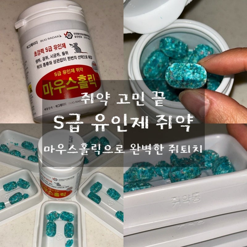 쥐약 알약 추천 마우스홀릭으로 완벽한 쥐 퇴치 성공 후기