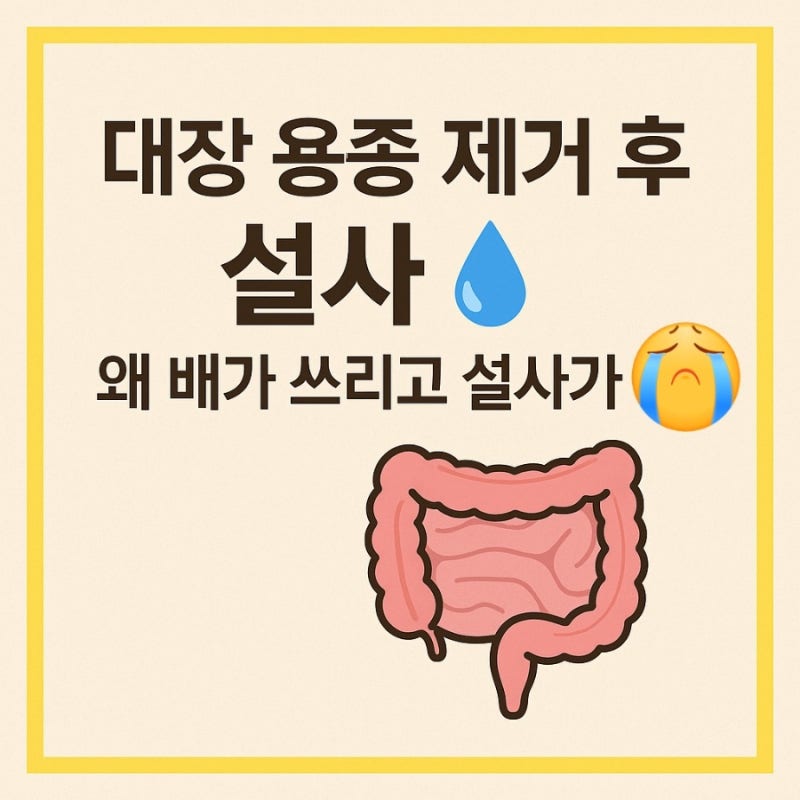 대장 용종 제거 후 설사