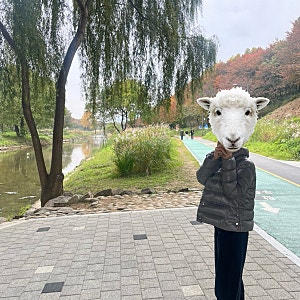 에르노패딩 여성겨울패딩 내돈내산후기 사이즈추천