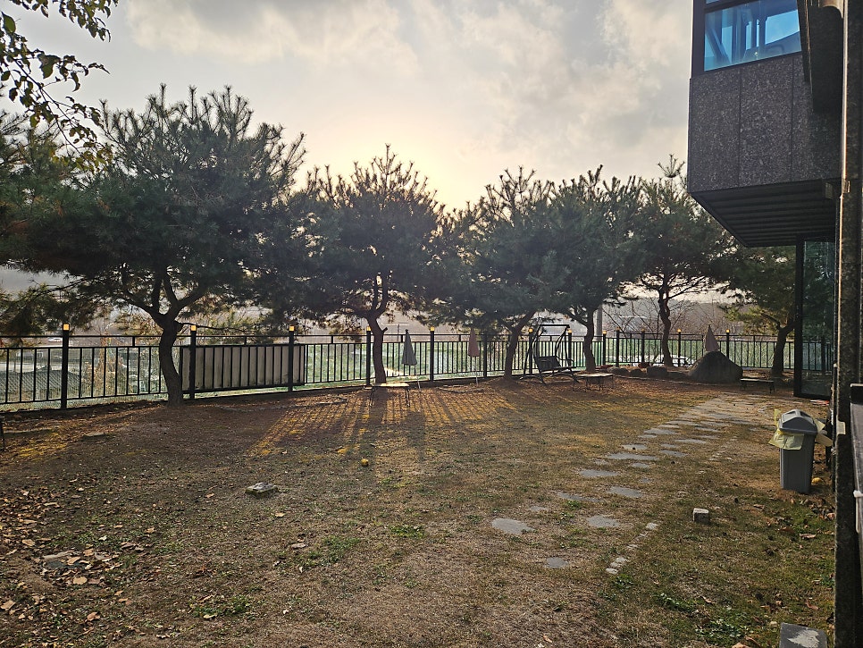 홍고네아마존 사진 6