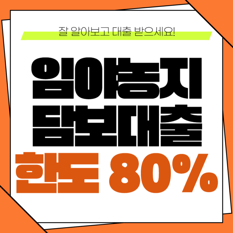  임야,농지담보대출 DSR 해결하고 최대한도 받은 과정 리얼 후기