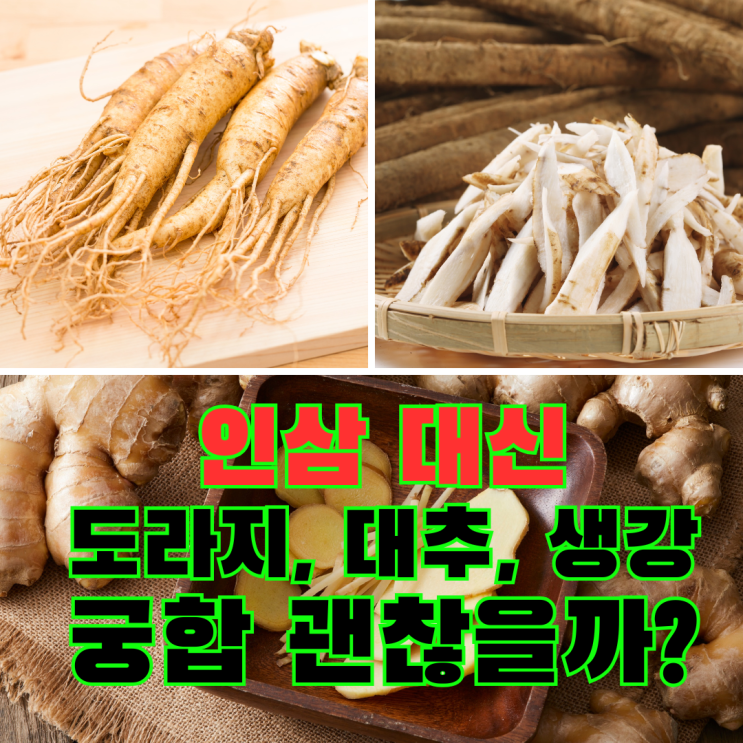  인삼 대신 도라지꿀생강청 마셔도 될까? 제대로 끓여먹는 법(효능과 부작용)